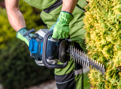 Hedge Trimming Port Talbot