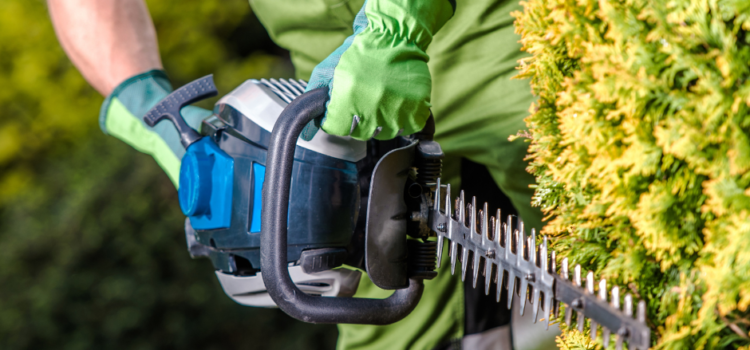 Hedge Trimming Port Talbot