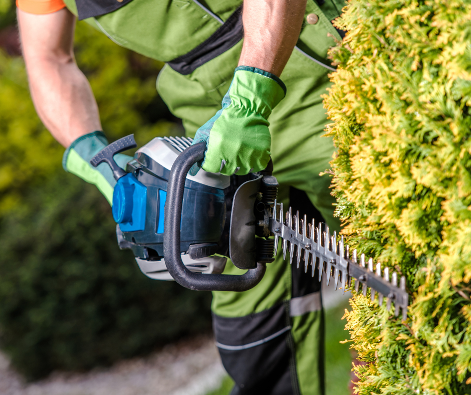 Hedge Trimming Port Talbot