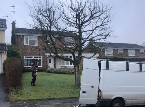 tree maintenance port talbot