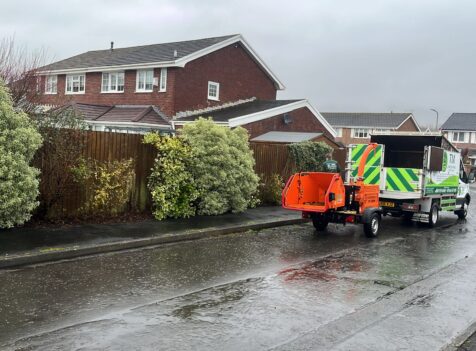 tree maintenance swansea