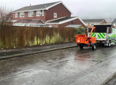 tree maintenance swansea